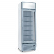 Freezer with glass door - sigtuna - 488l