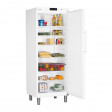 Vertikaler Kühlschrankschrank Liebherr 664L